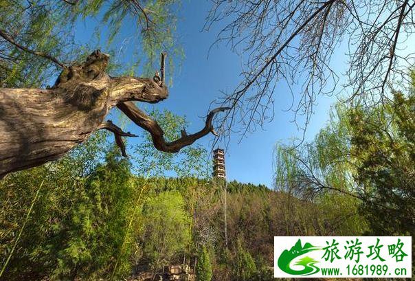 日本适合买什么(日本旅游适合买什么)