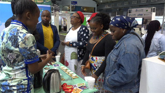 未来15天肇庆天气预报 丽水天气15天预报