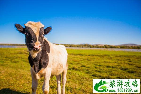 上海适合聊天的酒吧(上海适合安静聊天的地方)