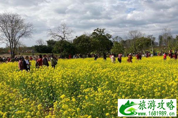 腾冲旅游景点怎么样 腾冲都有哪些旅游景点 腾冲旅游景点怎么样 腾冲都有哪些旅游景点