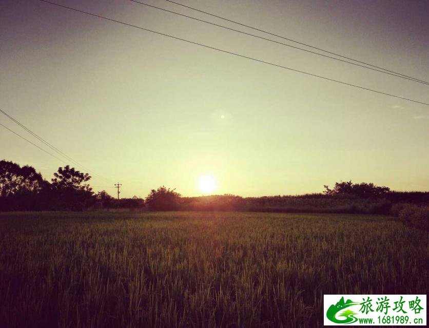 贵州百里杜鹃天气15天查询 甘忠省张掖市民乐县天气预报