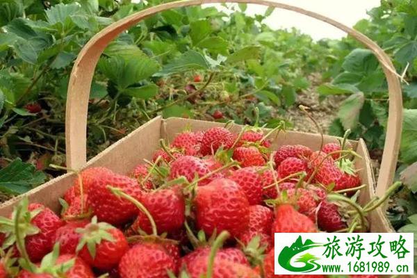 2018济南老城区旅游(济南老城区旅游地图)