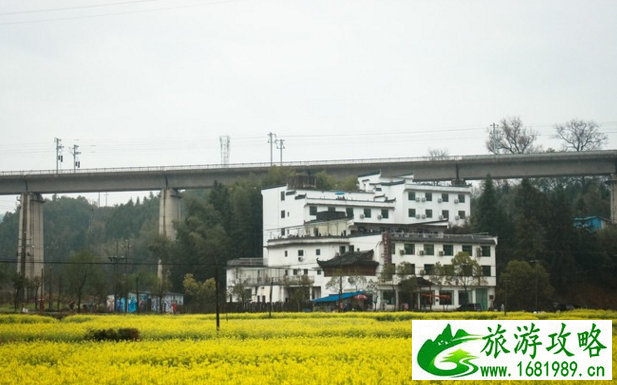 徐家汇公园打球_徐家汇体育公园