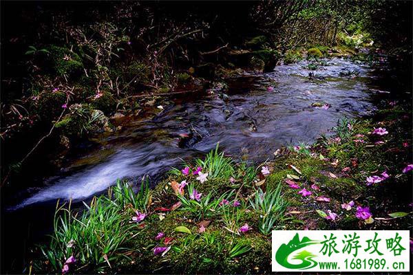 9月江苏旅游有什么好去处(9月江苏旅游有什么好去处吗)