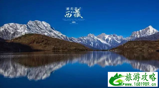 牛肉哪里最好吃(新鲜牛肉怎么做最好吃)