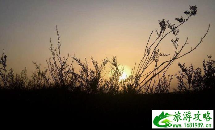 去香港孕妇适合买什么(香港有啥适合孕妇用的牌子)