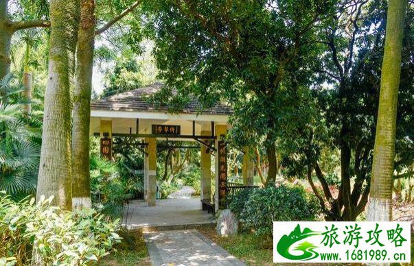 宁波哪里有游泳馆(宁波哪里有好玩的)