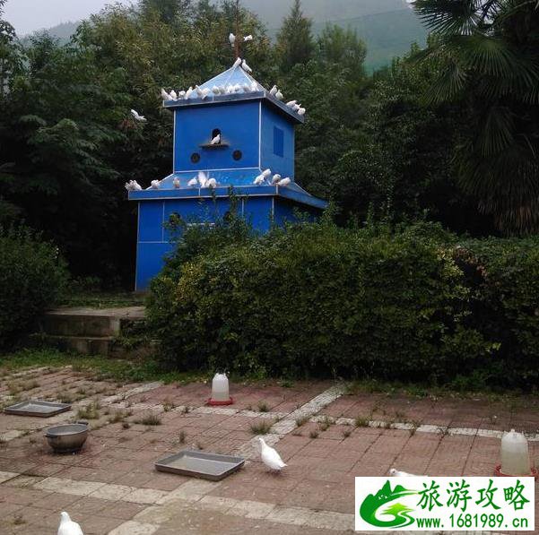 金水台太阳岛水上乐园(金水台太阳岛水上乐园智勇大冲关)