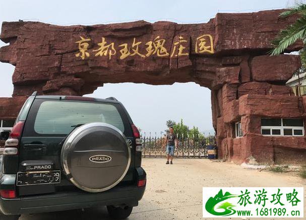 庆阳本地旅游景点(庆阳本地旅游景点有哪些)