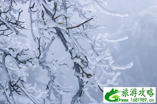 云南4天3夜旅游攻略(云南4天3夜旅游攻略图)