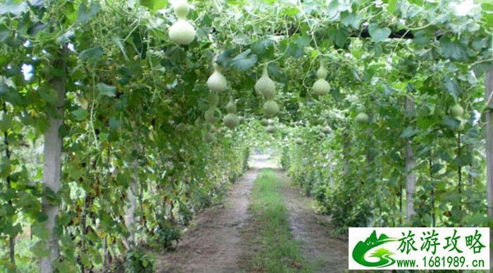 天津海边的旅游景点有哪些？