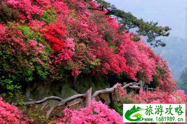 走进适合啦，快速开启个人职业规划之路！