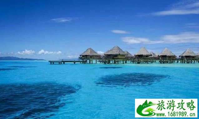 有关旅游的专业术语(关于旅游的专业术语)