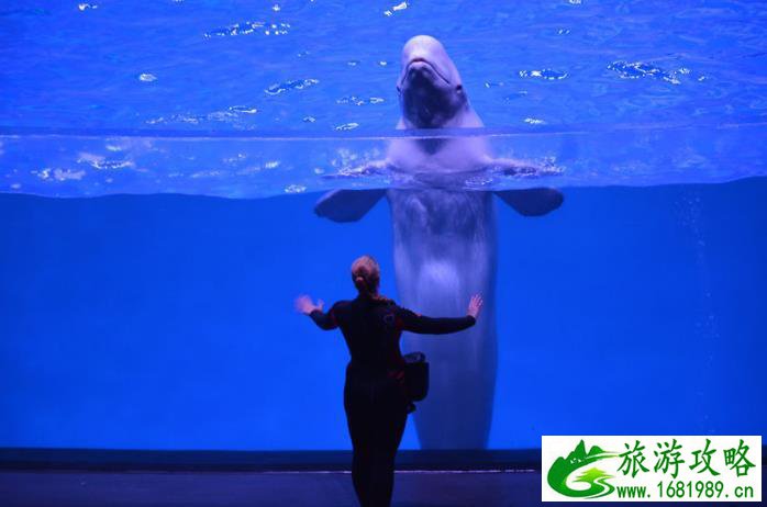 圣莫里斯(圣莫丽斯别墅房价)