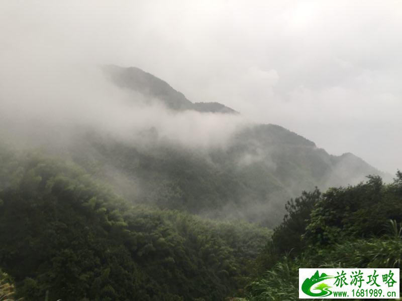 增城人工沙滩好玩吗