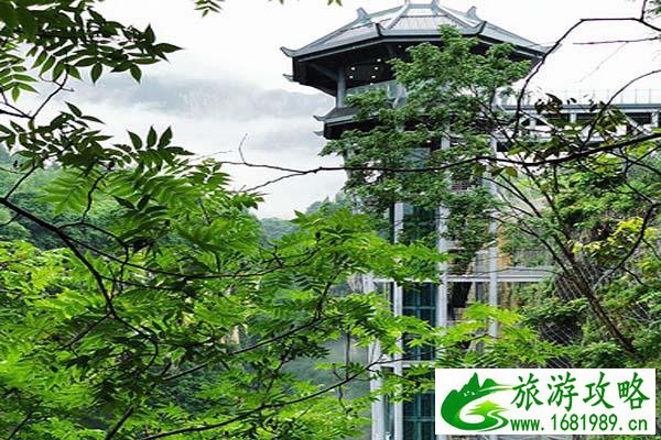 8月哈尔滨旅游带什么(哈尔滨8月旅游去哪玩)