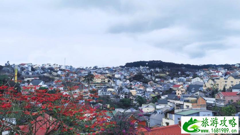 广东寒假旅游攻略(广东暑假旅游攻略)