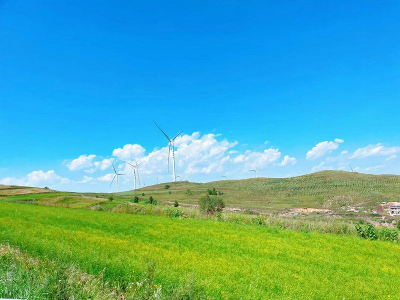 进口大众辉腾 进口大众辉腾2022款报价及图片