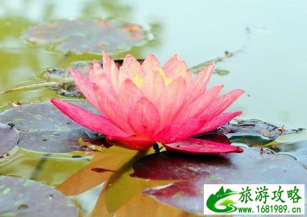 九寨沟神仙池(九寨沟神仙池天气预报)