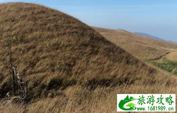 泰国普吉岛旅游寺庙(泰国普吉岛查龙寺)