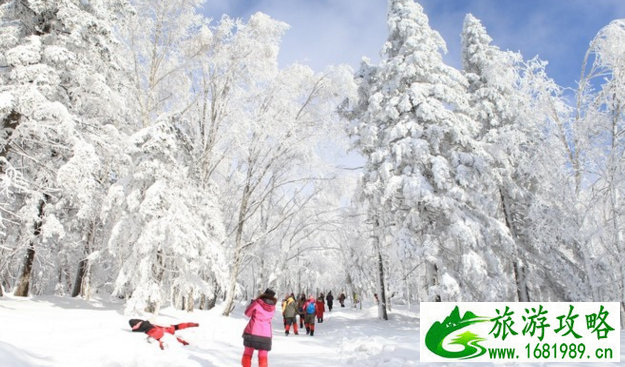 深圳二日游攻略自由行怎么安排最好_深圳二日游最佳路线