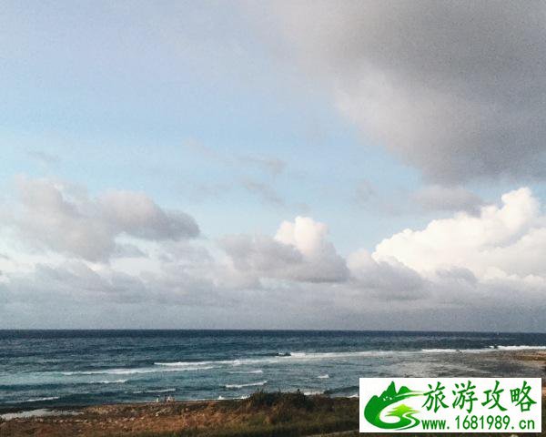 老虎滩海洋公园旅游团购(老虎滩海洋公园官方网站)