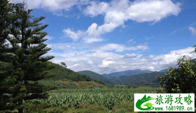 火影忍者羁绊密码_火影忍者羁绊密码怎么