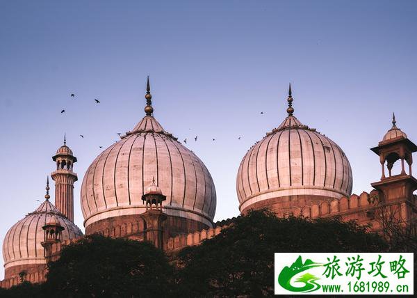 非洲哪个地方旅游景点(非洲哪个地方旅游景点多)