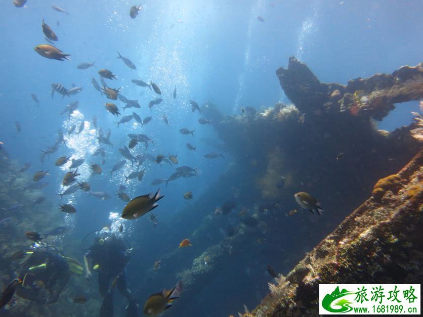 未来婺源15天天气预报 3月底婺源天气