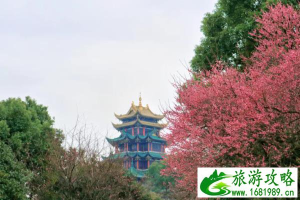 广东旅游有哪些景点推荐(广东旅游有哪些景点推荐一下)