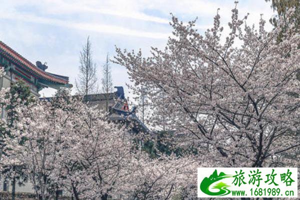 大学生暑假去哪儿旅游(大学生寒假去哪旅游好)