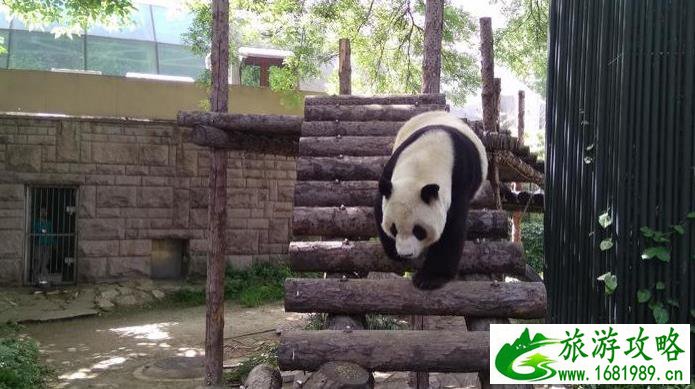 澳洲经典旅游路线_澳洲经典旅游路线图