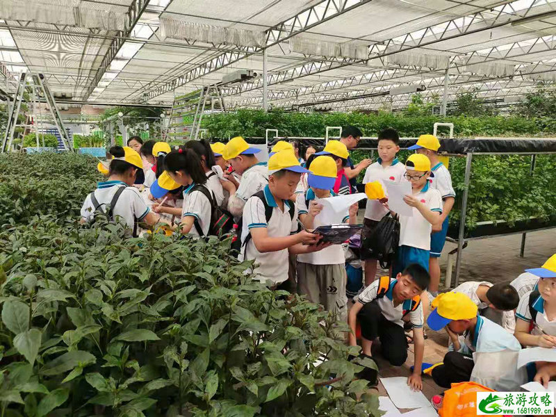 杭州少儿公园门票价格(杭州南江公园门票价格)