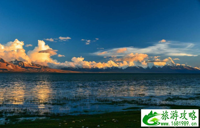 异国习俗圣诞节说课稿 小学英语《Meet My Family》说课稿