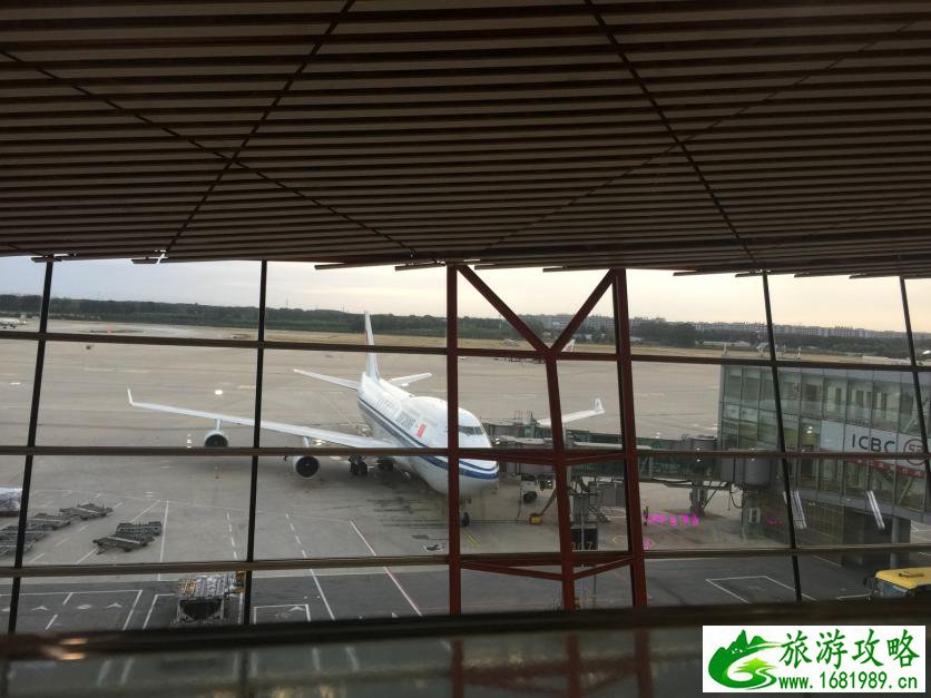 国际鲜花港(国际鲜花港在哪里)