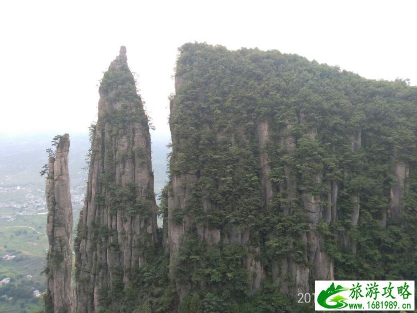 从郑州到香港旅游能直接到吗(从郑州怎么去香港)