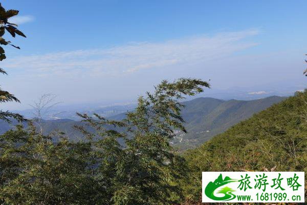 深圳哪里能看海(深圳哪里能看海南山)