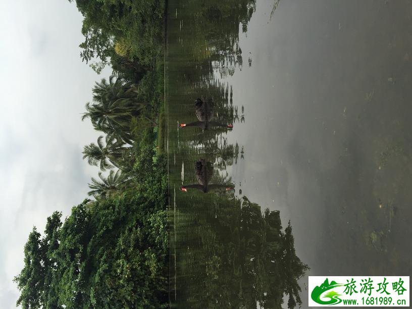 国色天乡门票团购(国色天乡需要门票吗)