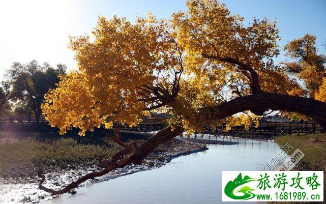 世界之窗夜场门票多少钱(世界之窗夜场门票多少钱几点到几点)