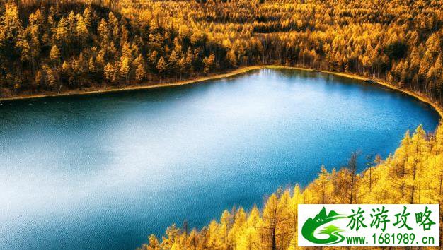 重庆旅游攻略自由行攻略(四川重庆旅游攻略自由行攻略) 重庆旅游攻略自由行攻略(四川重庆旅游攻略自由行攻略)