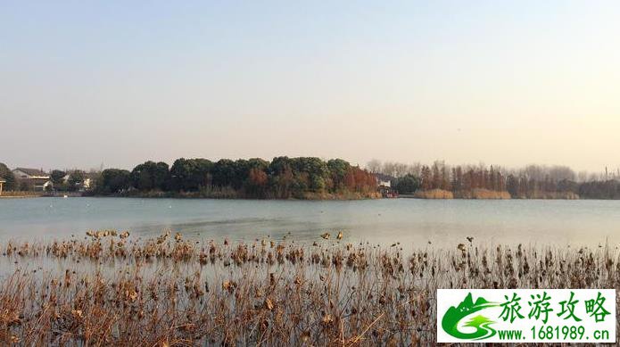 大闹天竺演员表全部名单