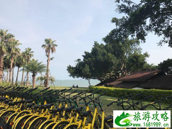 田心森林公园到板芙镇怎么走