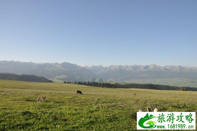 陕西省旅游攻略手抄报_陕西省旅游攻略手抄报怎么画简单又好看