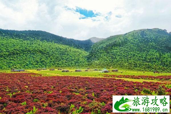 河南汝州天气预报(河南汝州天气预报30天