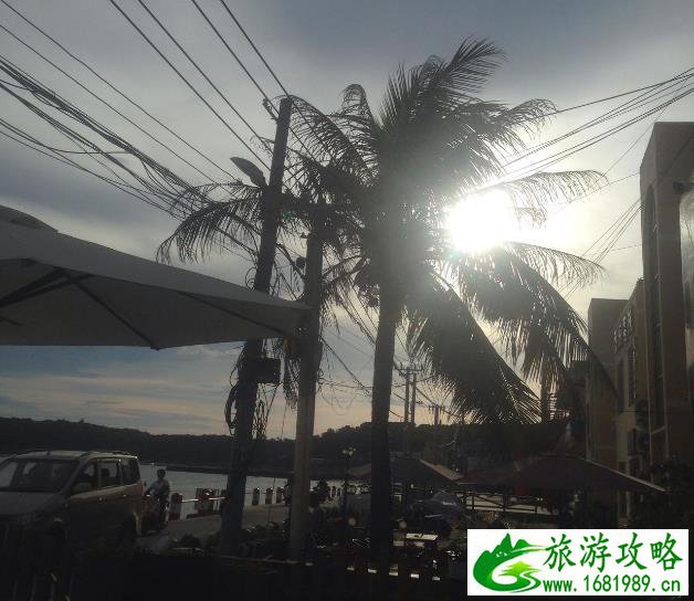 适合结婚播放的歌曲(适合结婚播放的歌曲有哪些歌)