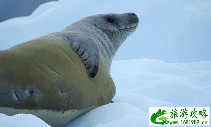 白河峡谷 自驾路线_白河峡谷自驾路线