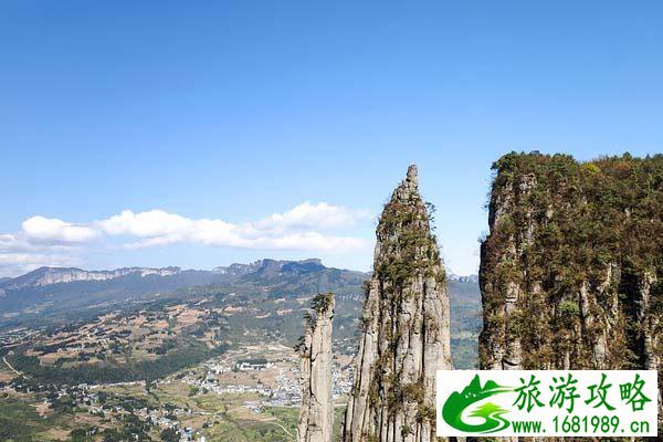 2024高考语文作文押题