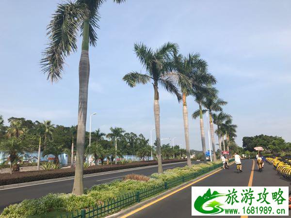 惠州黄金海岸(惠州黄金海岸在哪里)