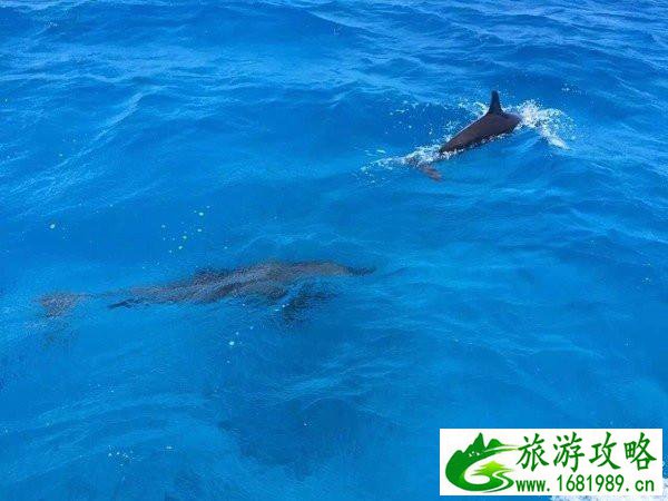 世界之窗门票多少钱(世界之窗门票多少钱)