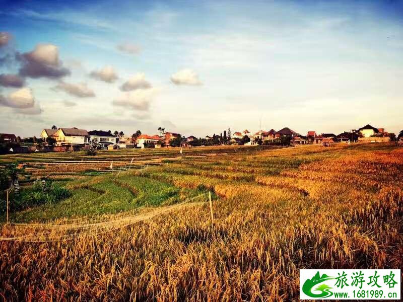 暑假广州旅游攻略_暑假广州旅游攻略自由行攻略